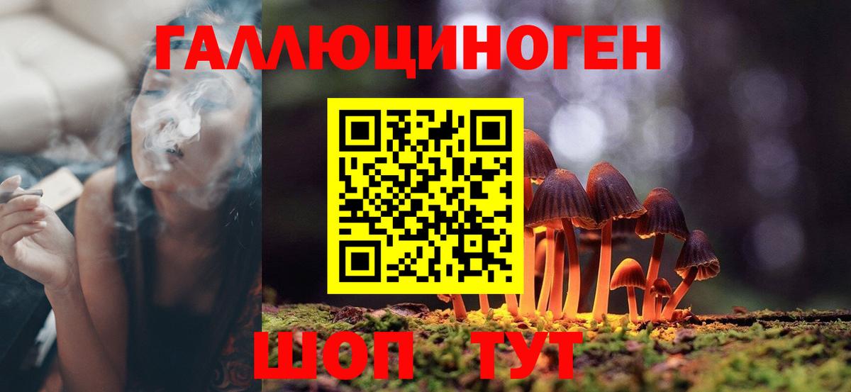 Псилоцибиновые грибы Psilocybe  Галлюциногенные грибы MAGIC MUSHROOMS  Зима  Вход с VPN 